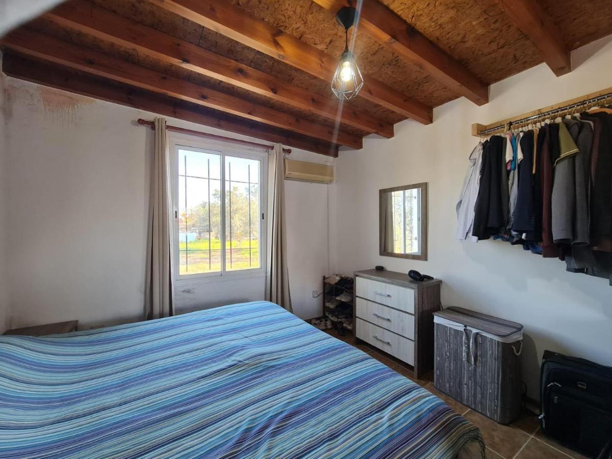 Spacious Studio In Yeroskipou Koloni Exterior photo