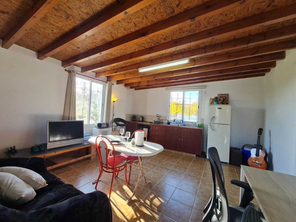 Spacious Studio In Yeroskipou Koloni Exterior photo