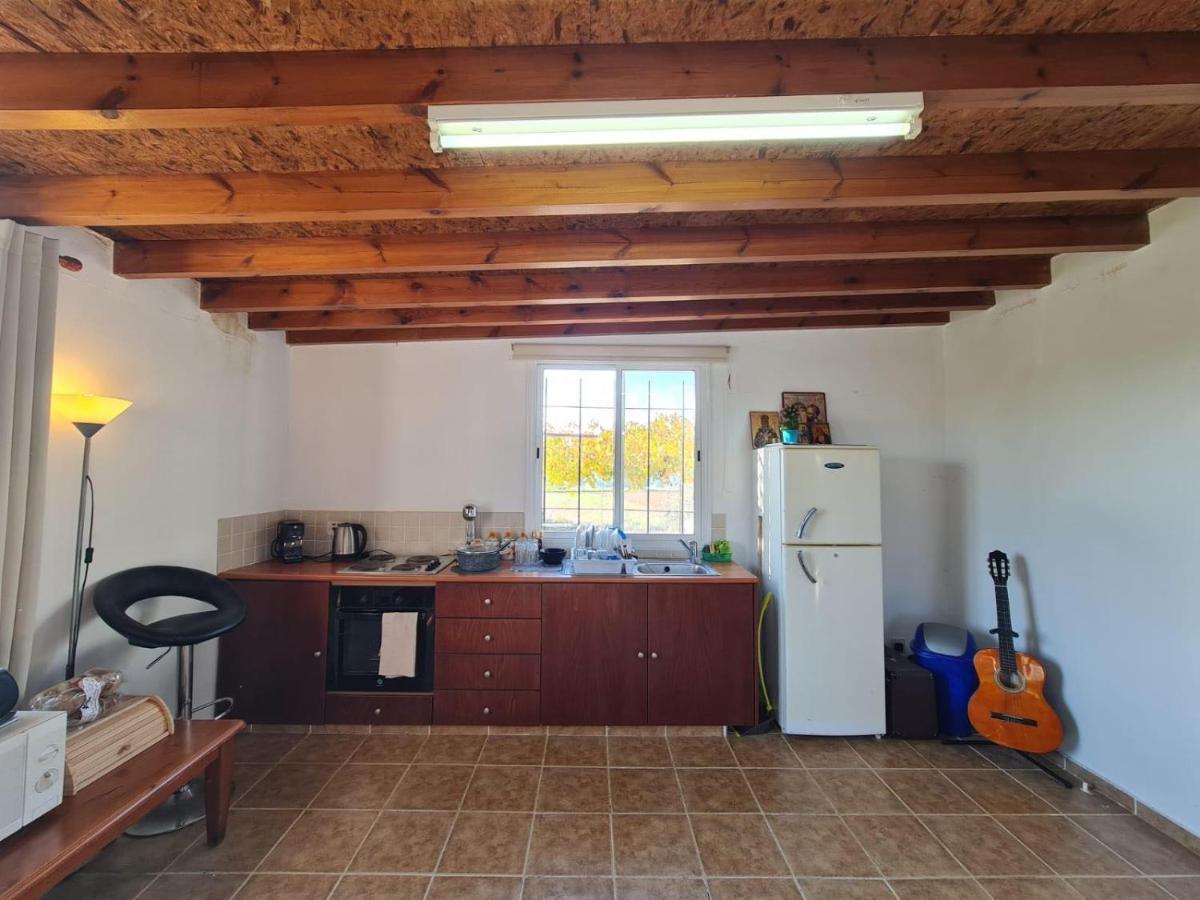 Spacious Studio In Yeroskipou Koloni Exterior photo