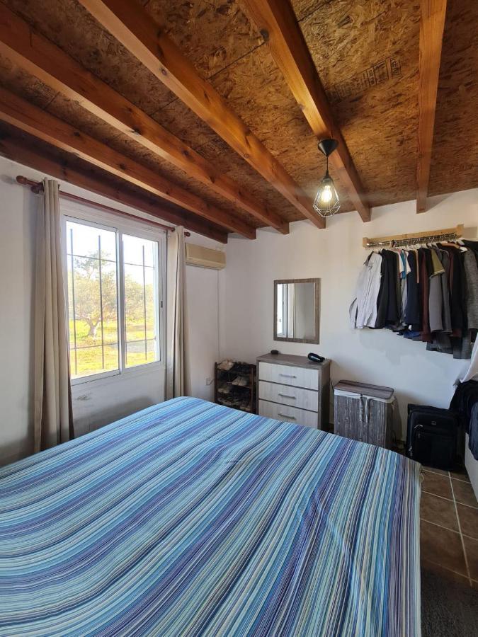 Spacious Studio In Yeroskipou Koloni Exterior photo